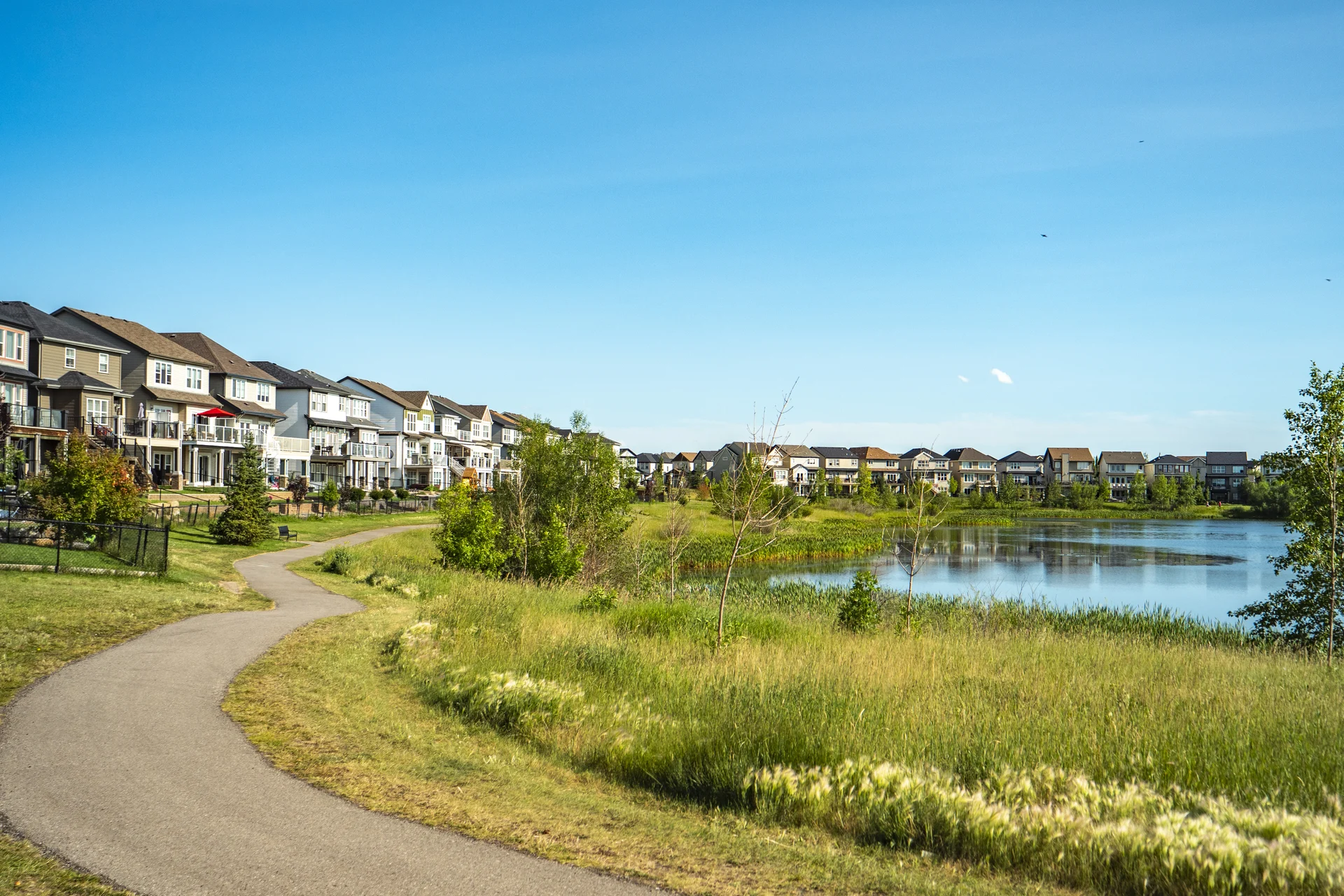 Photograph of Copperfield reed-fringed pond and path