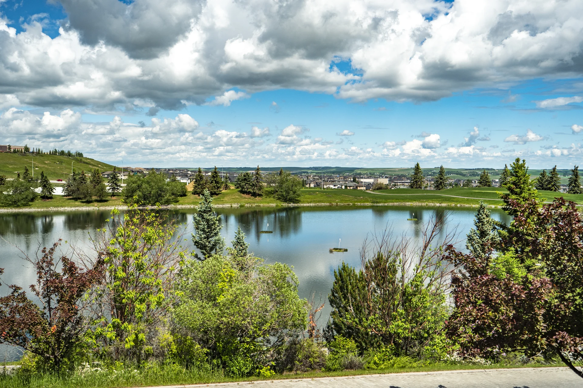 Photograph of Hamptons pond framed by shrubs and spruce trees