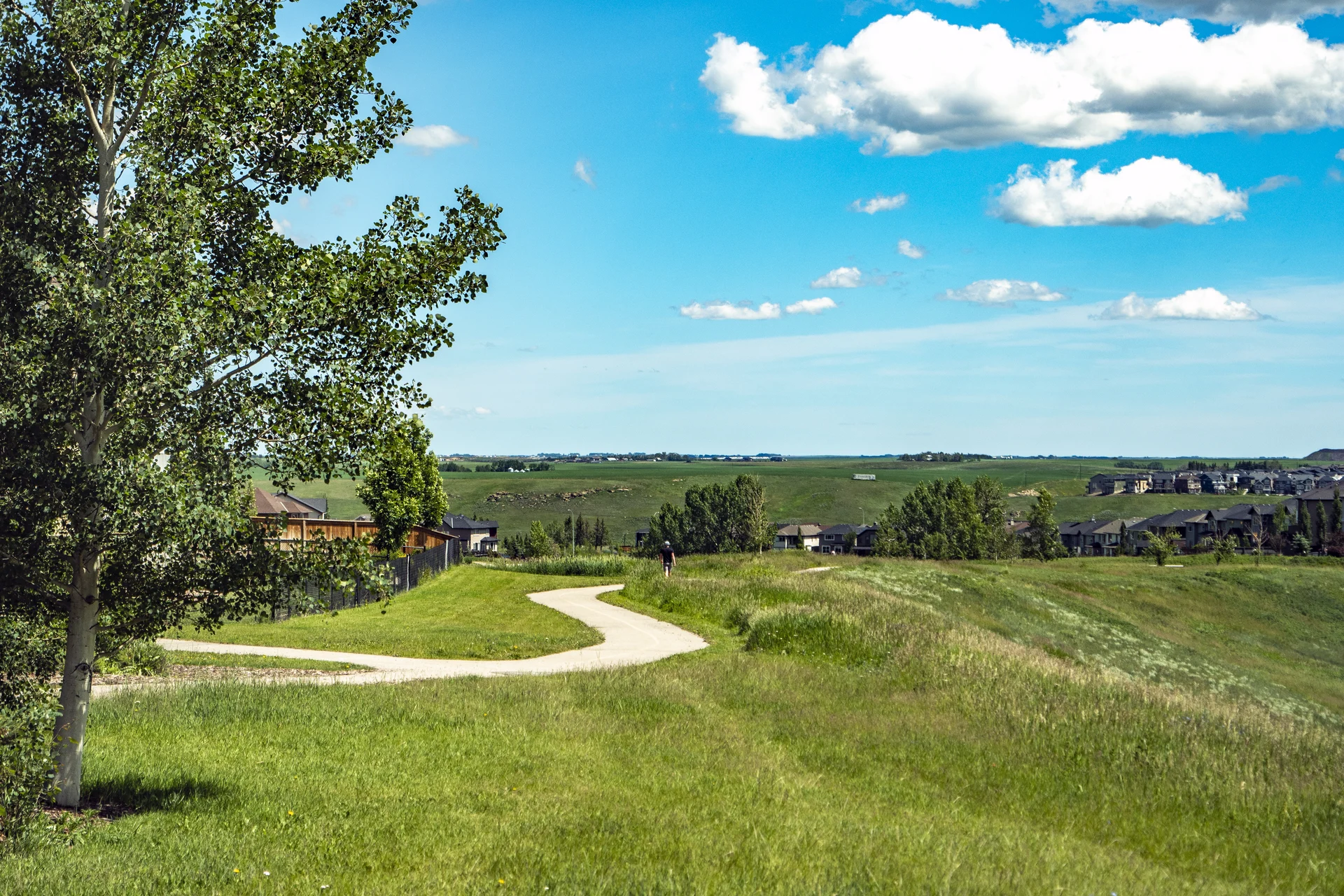Photograph of Sage Hill meadow and winding pathway