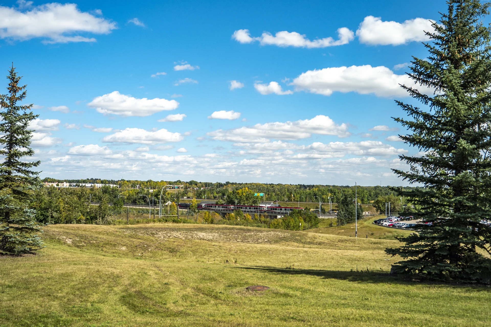 Photograph of Shawnee Slopes grassy landscape and distant CTrain