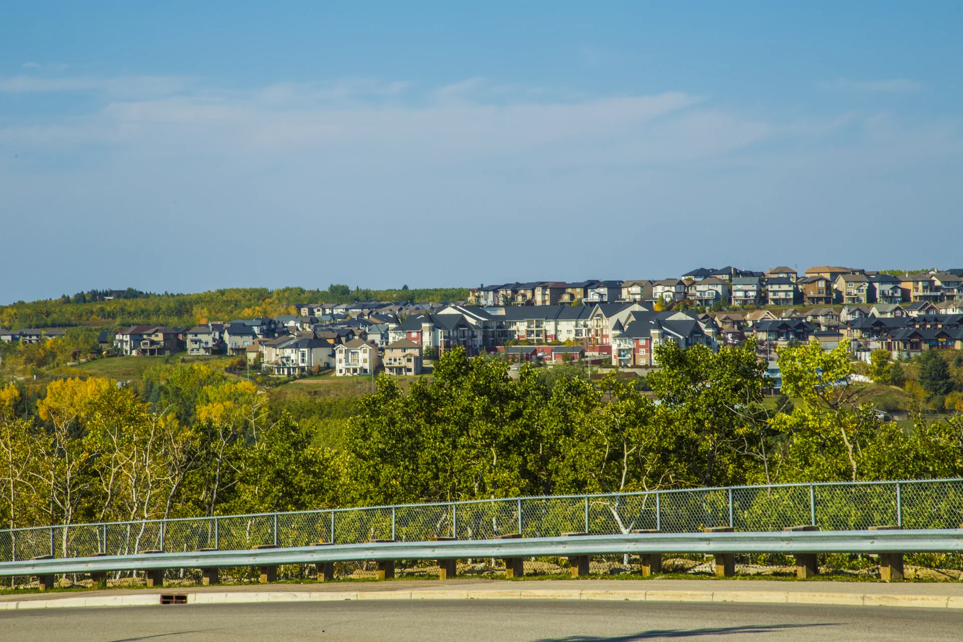 Photograph of Springbank Hill wooded ravine and hillside homes